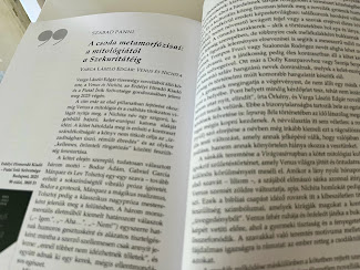 Kritikám a Tiszatáj 2026/6. számában